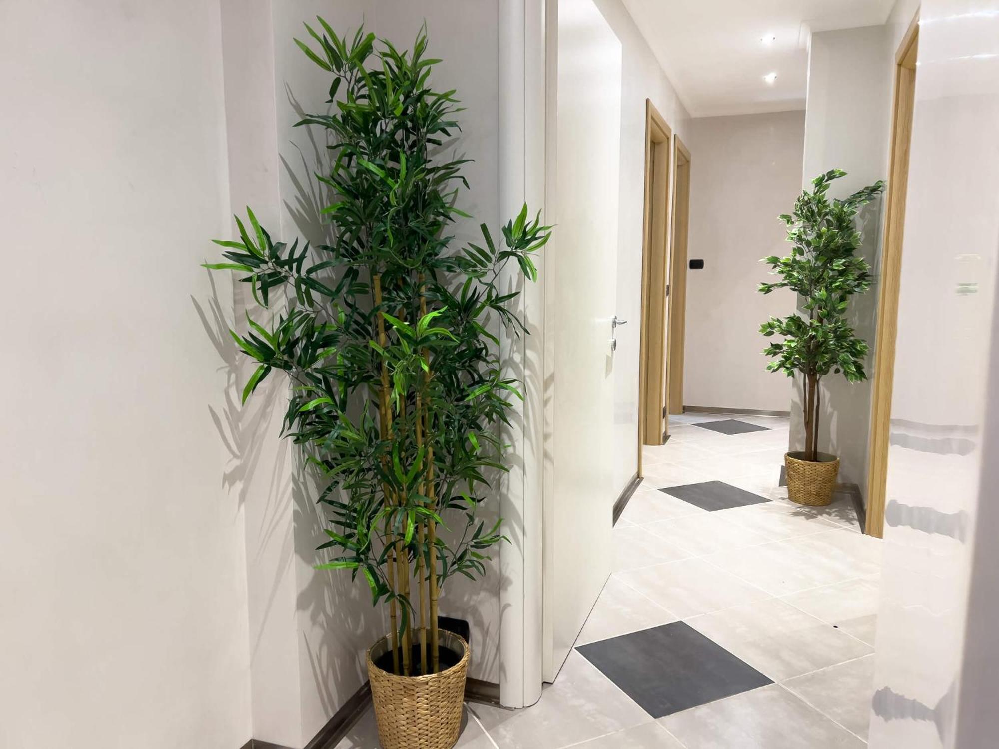 Sofia Guest House Rome Exterior photo